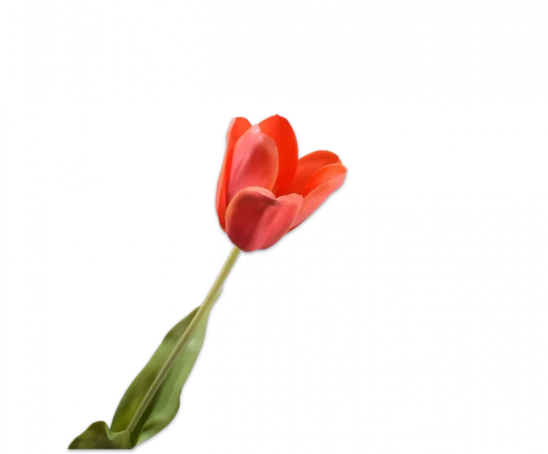 Licht oranje tulp - Silk-ka Real Touch - H71 cm
