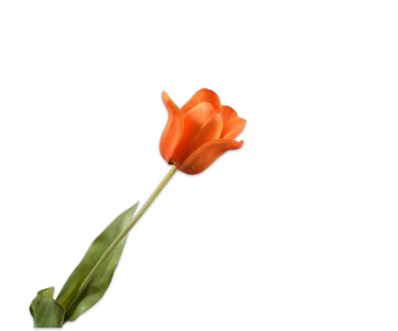 Oranje tulp Silk-ka Real Touch H71 cm