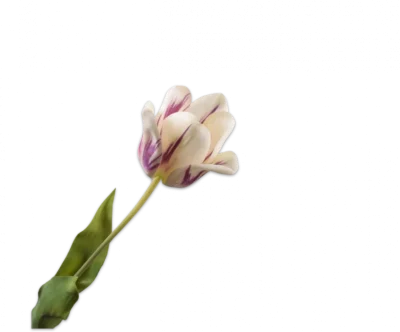 Licht paarse tulp - Silk-ka Real Touch - H71 cm