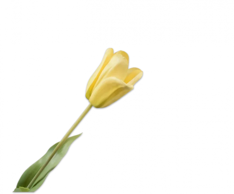 Gele tulp - Silk-ka Real Touch - H71 cm