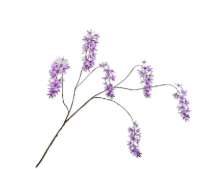kunstbloem wisteria