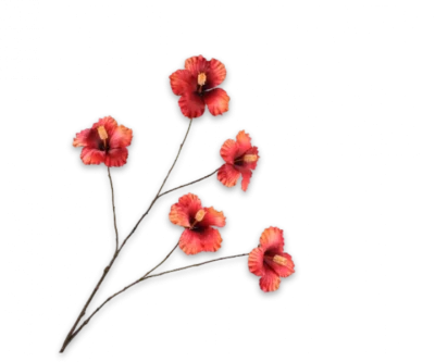 Hibiscus oranje Silk-ka - H108 cm