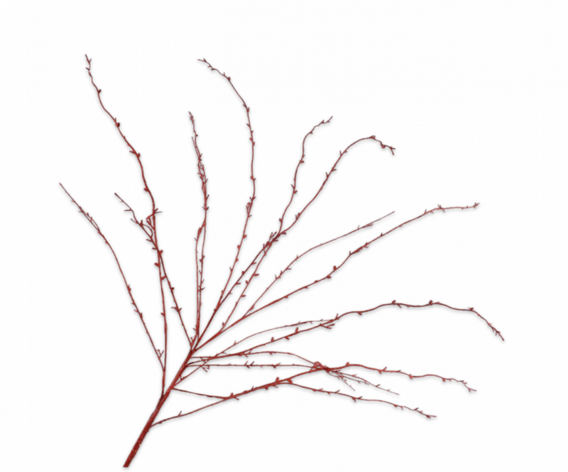Brem tak rood Silk-ka H140 cm