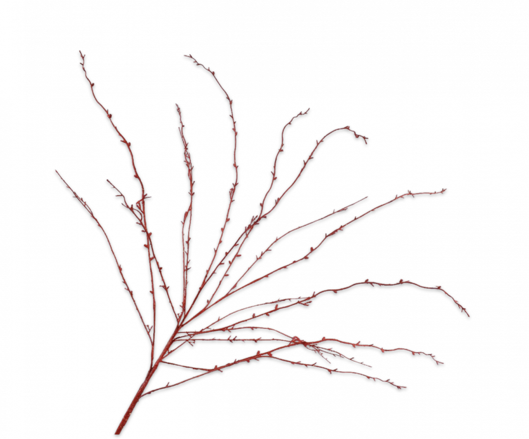 Brem tak rood Silk-ka H140 cm