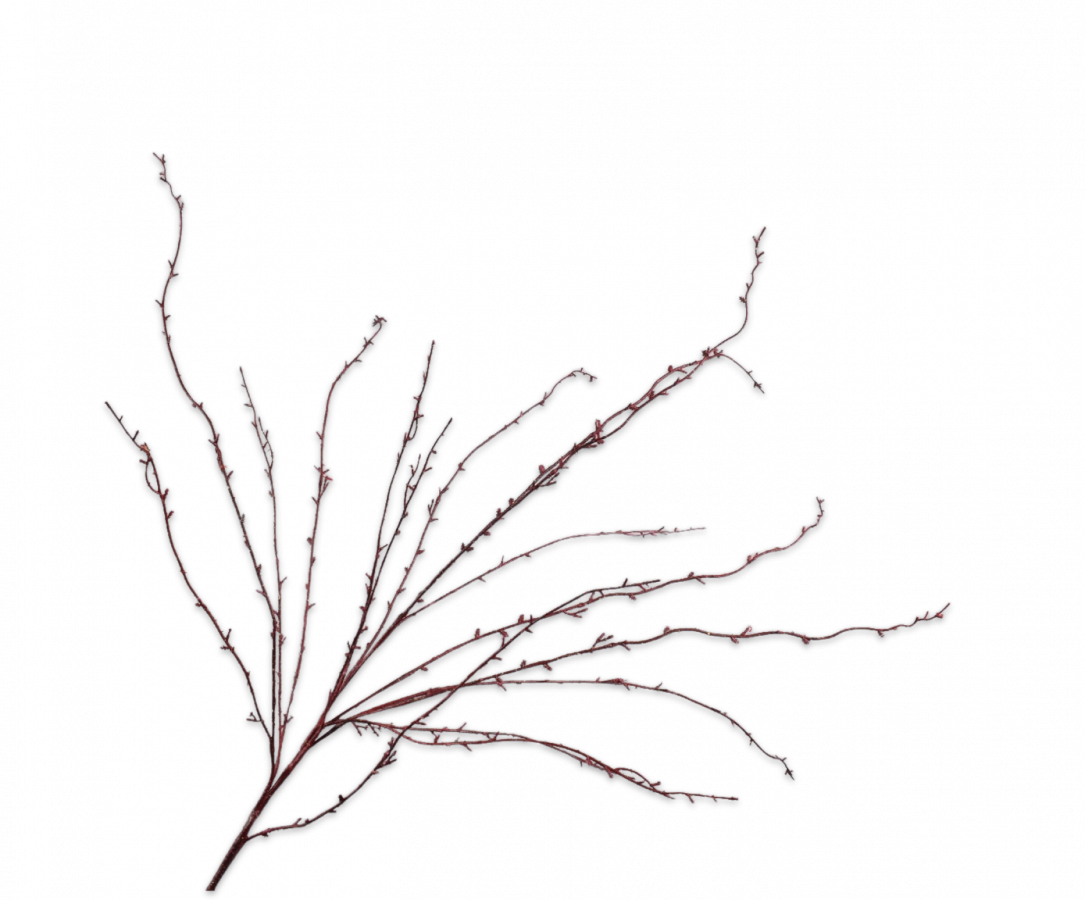 Brem tak donker rood Silk-ka H140 cm
