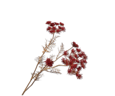 gouden bloem silkka