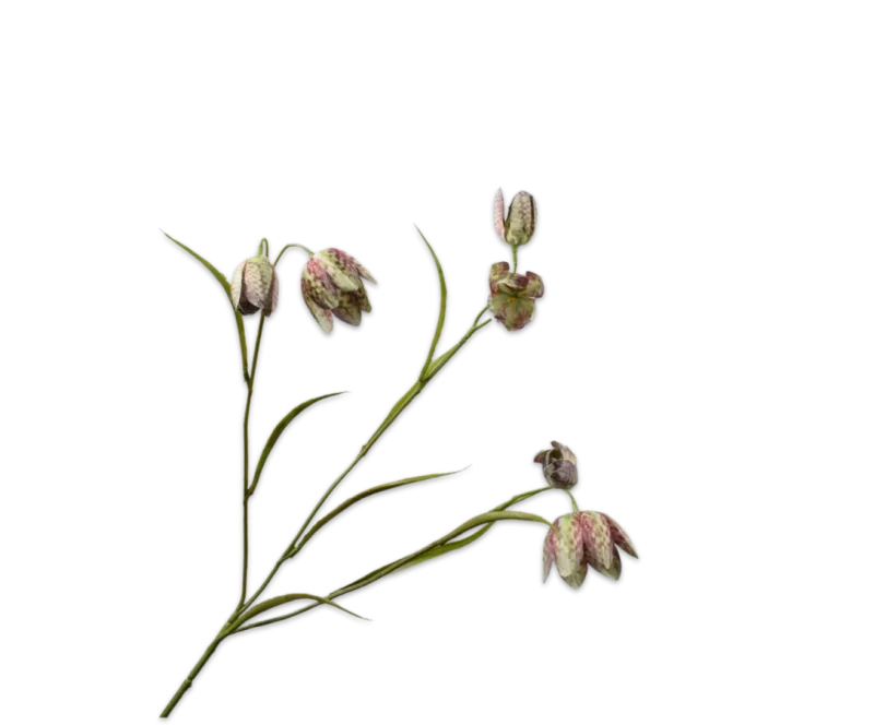 Kievitsbloem fritillaria groen - Silk-ka - H64 cm