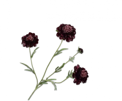 Scabiosa tak paars Silk-ka Real Touch- H80 cm