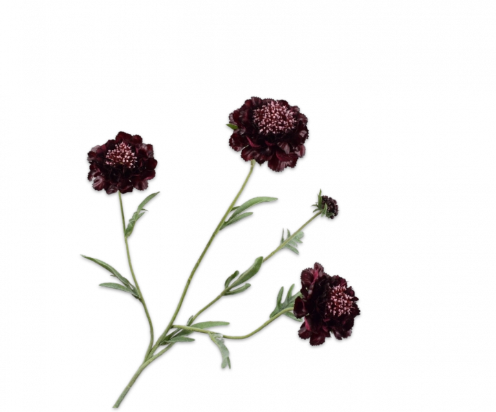 Scabiosa tak paars Silk-ka Real Touch- H80 cm
