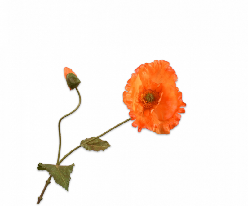 Klaproos tak oranje- H67 cm