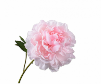 Pioen roze Silk-ka Real Touch - H57 cm
