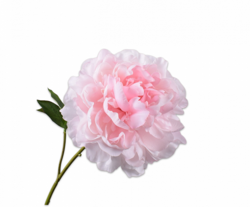 Pioen roze Silk-ka Real Touch - H57 cm