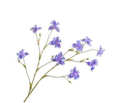 zijden iris silkka