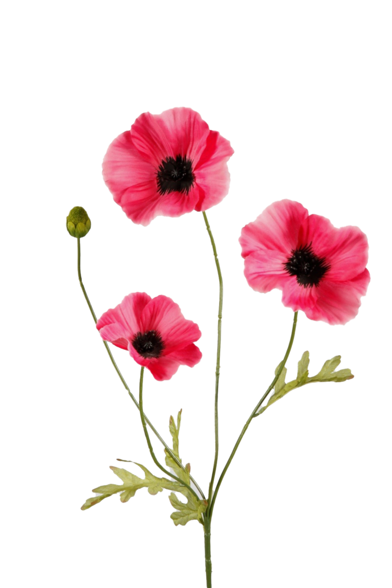Klaproosje fel roze - H63 cm