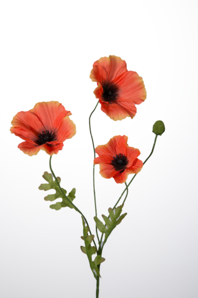 Klaproosje oranje - H63 cm