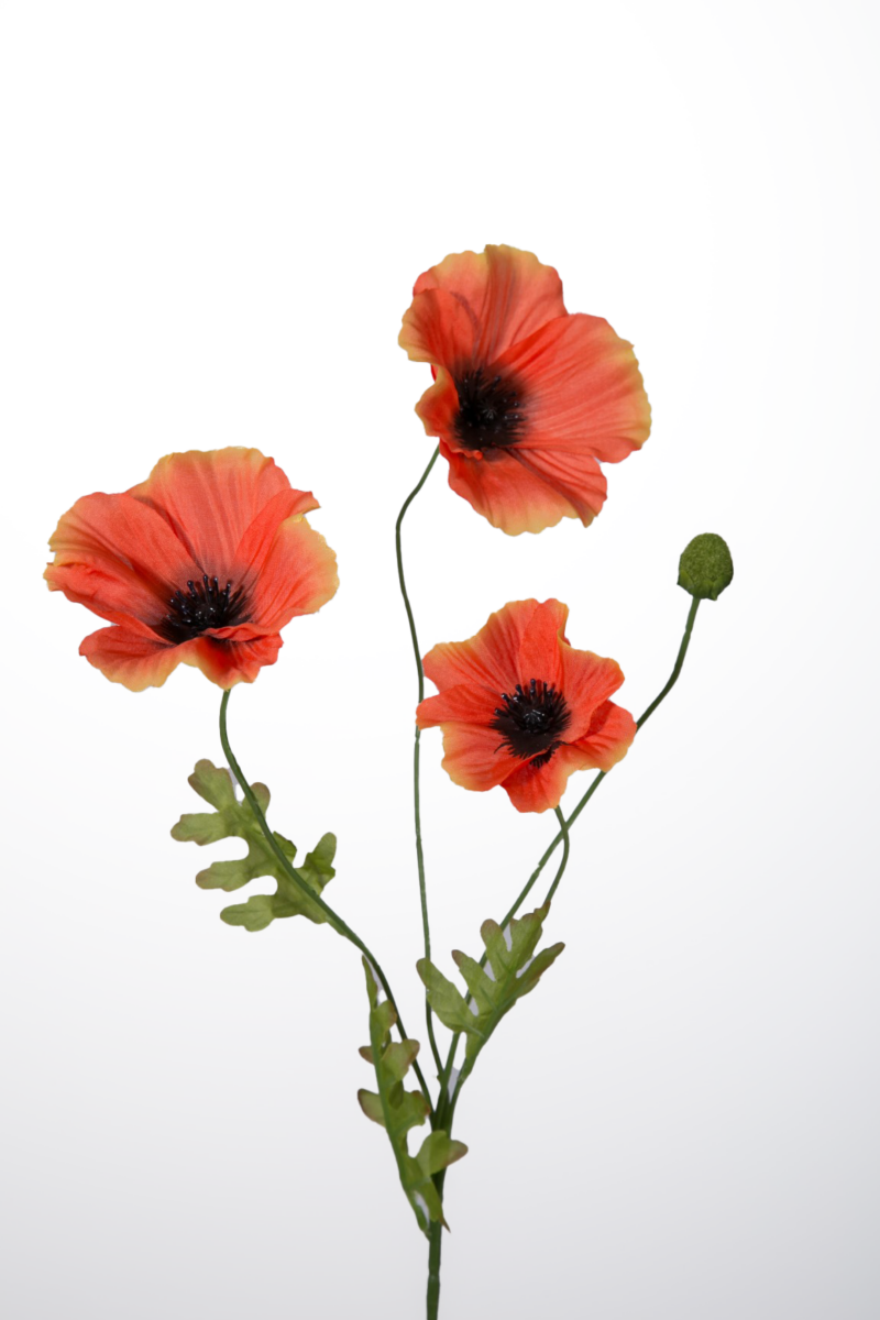Klaproosje oranje - H63 cm