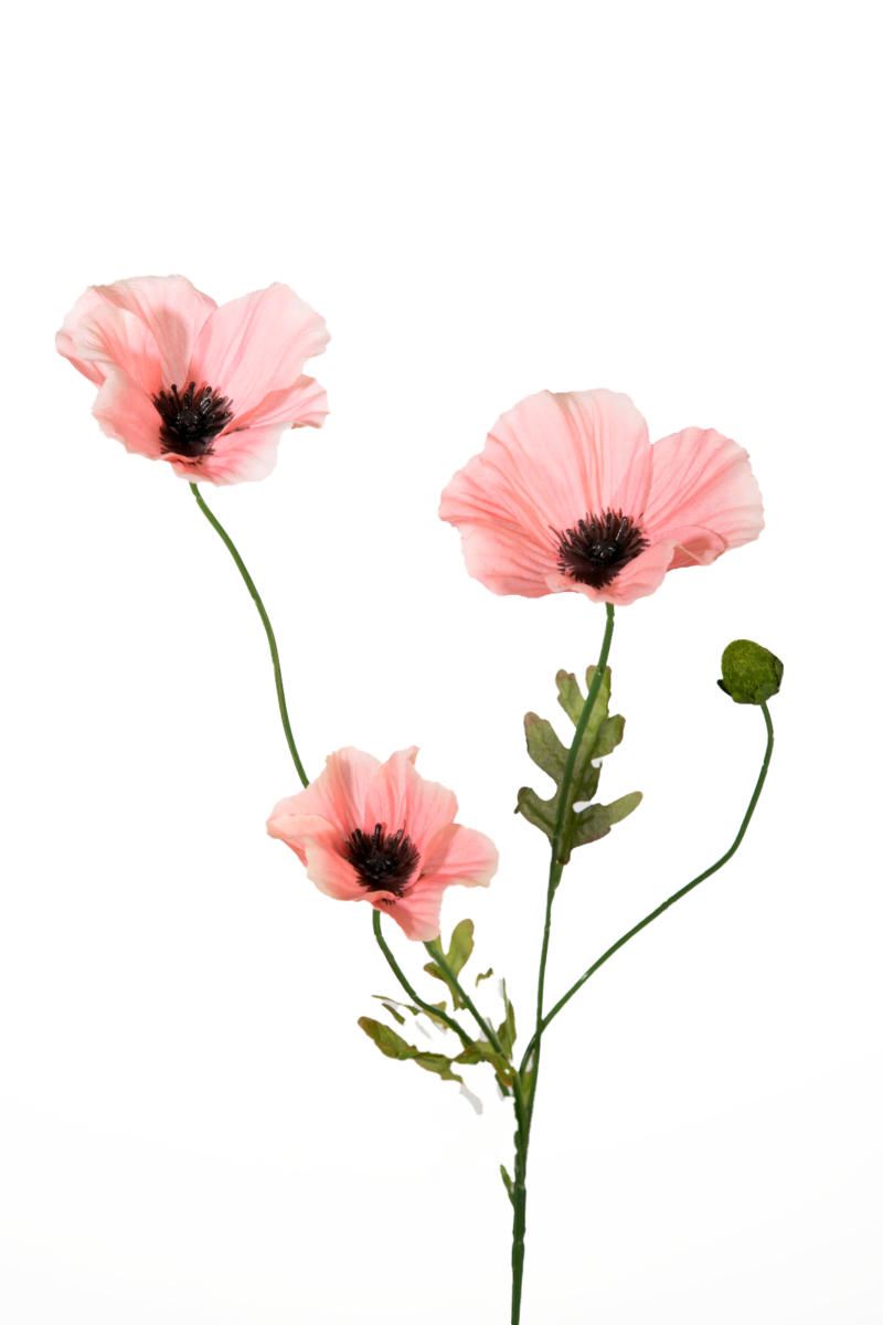 Klaproosje licht roze - H63 cm