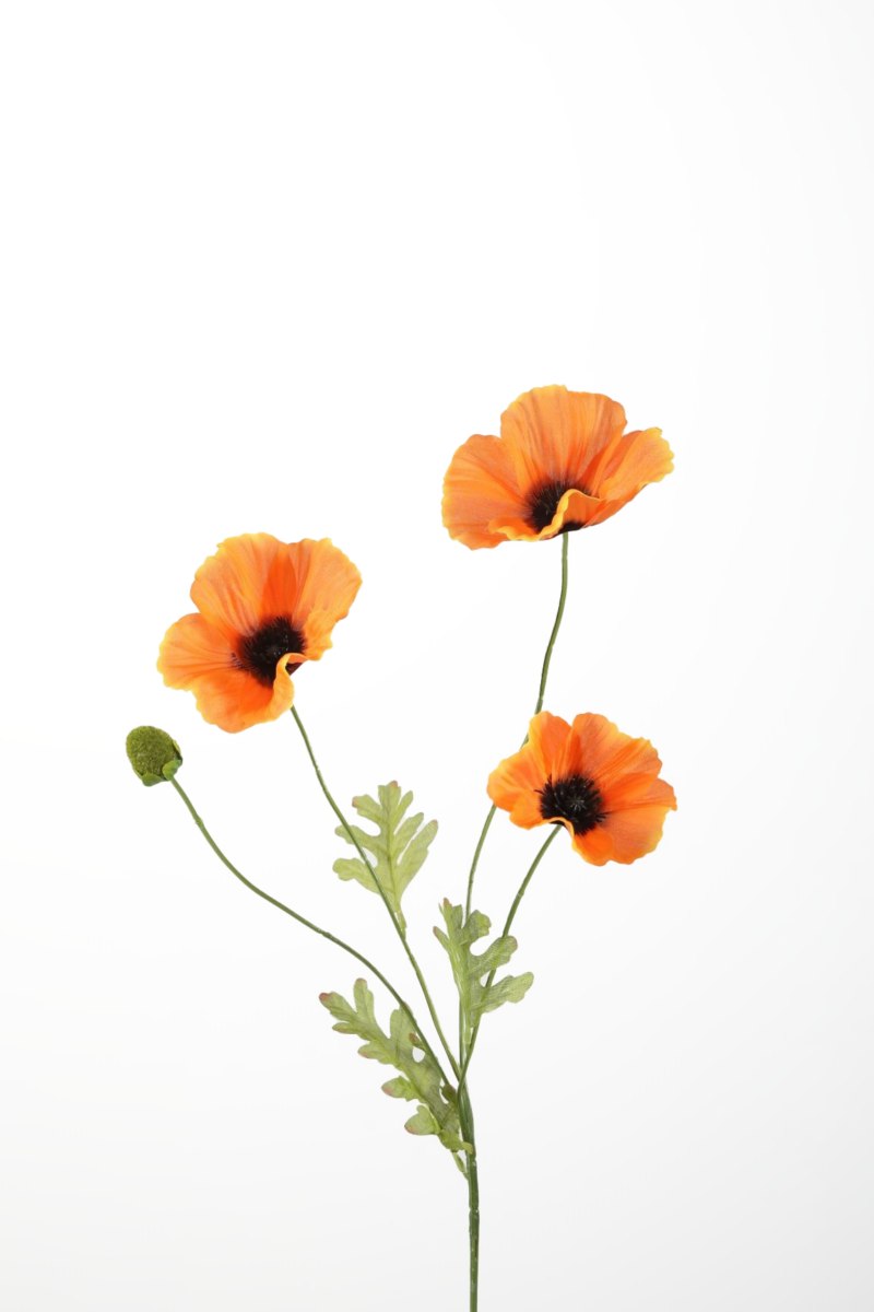 Klaproosje licht oranje - H63 cm