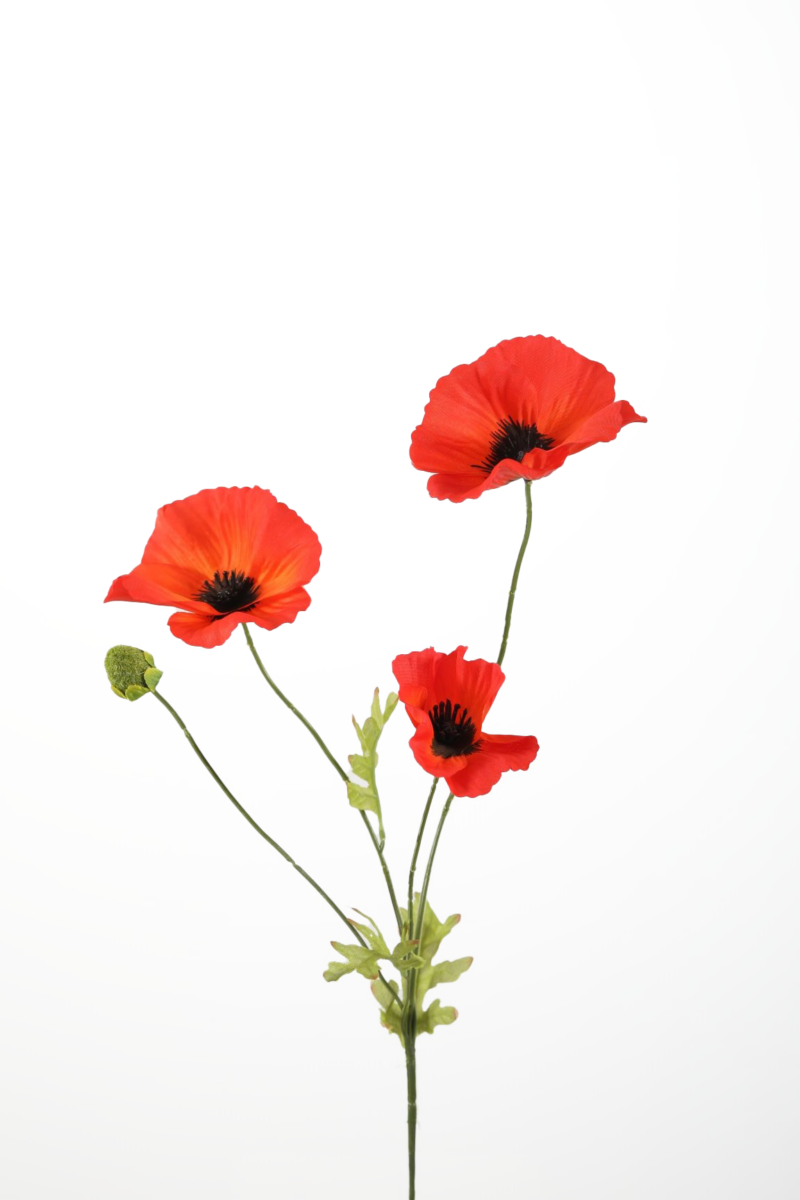 Klaproosje oranje rood - H63 cm