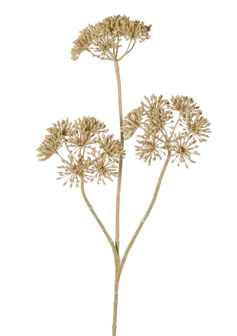 Berenklauw beige - H83 cm