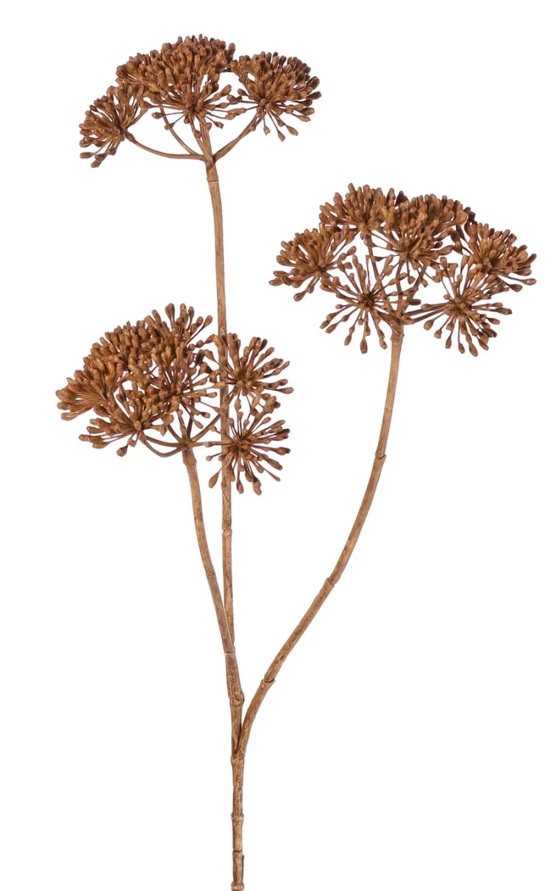 Berenklauw bruin - H83 cm