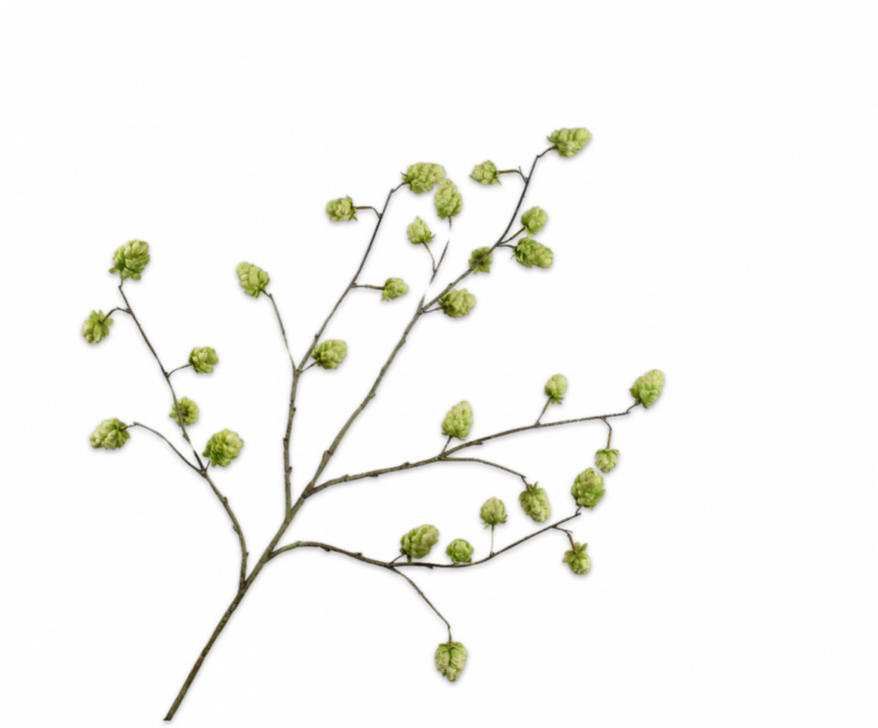 Hop tak groen Silk-ka - H112 cm