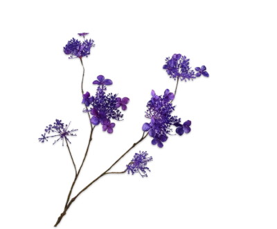 kunst hortensia paars