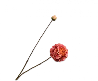 Dahlia oranje Silk-ka - H86 cm