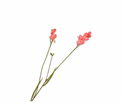 Freesia tak zalm Silk-ka Real Touch - H78 cm