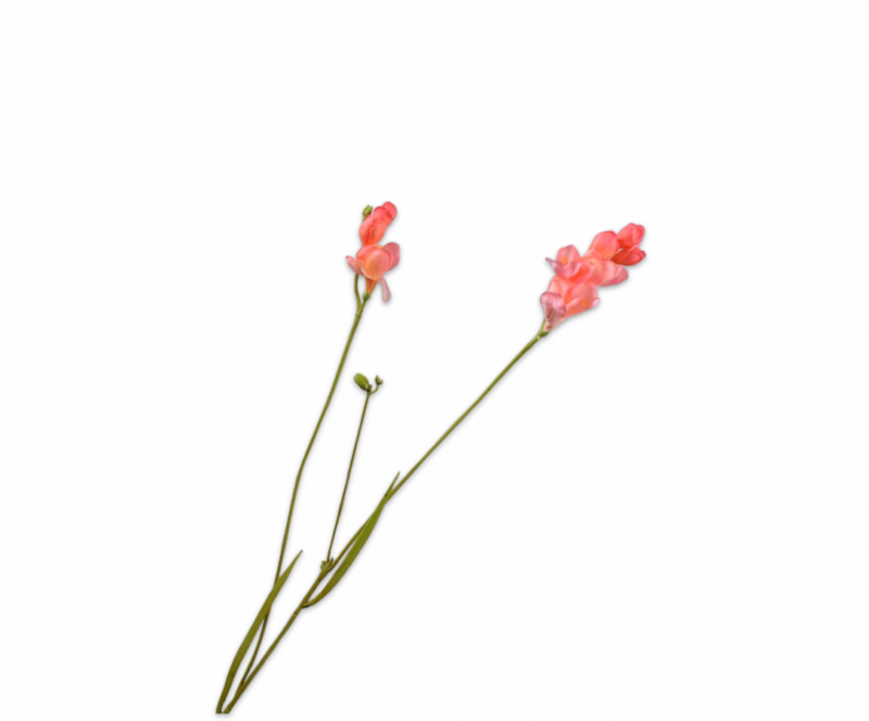 Freesia tak zalm Silk-ka Real Touch - H78 cm