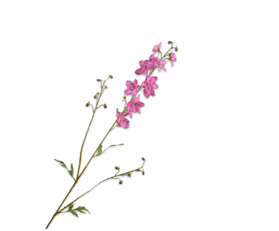 delphinium silkka roze