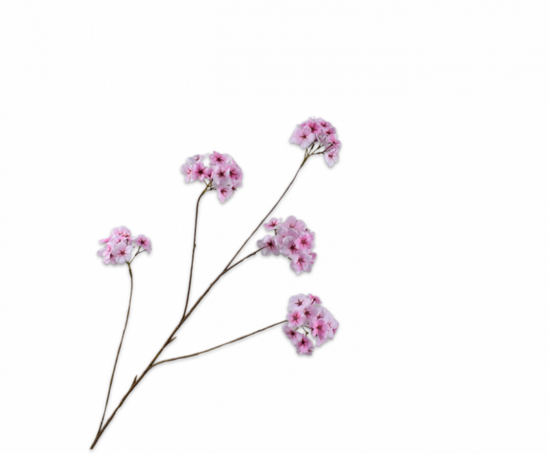 Bloesem roze Silk-ka - H110 cm