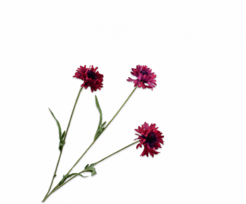 Korenbloem fuchsia Silk-ka - H69 cm