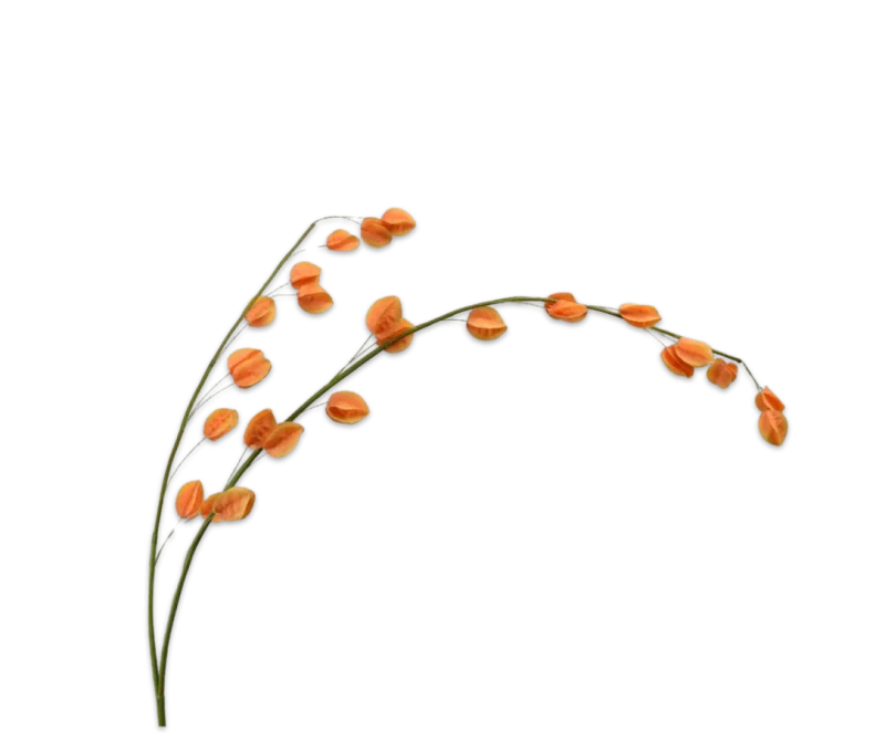 klokjes bloem