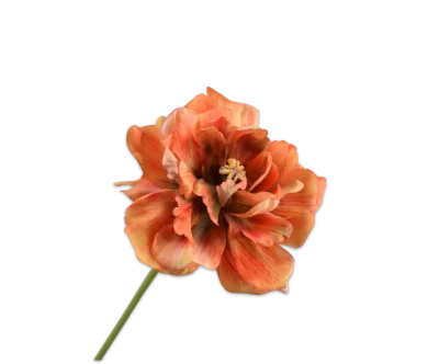 oranje tulp silk-ka