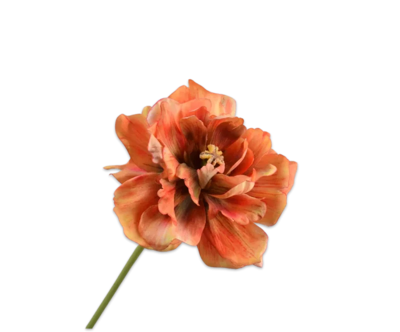 oranje tulp silk-ka
