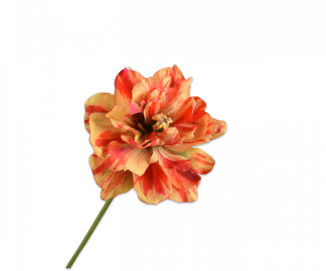 Tulp geel/rood Silk-ka H69 cm