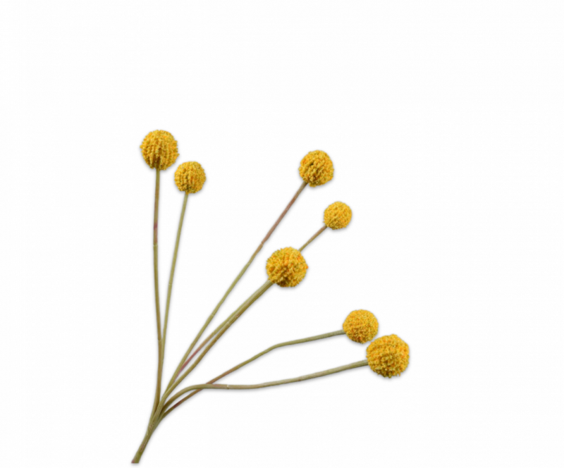 Distel tak geel Silk-ka - H60 cm