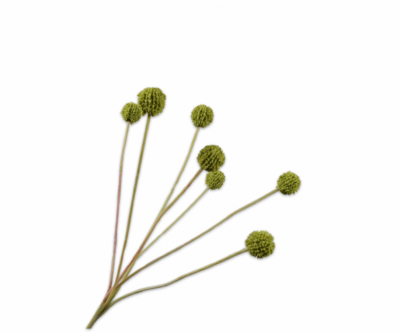 Distel tak groen Silk-ka - H60 cm
