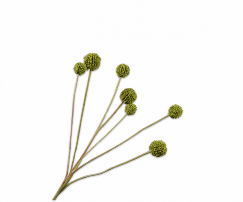 Distel tak groen Silk-ka - H60 cm