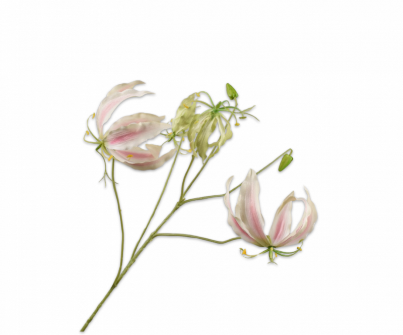 Gloriosa licht roze Silk-ka - H89 cm