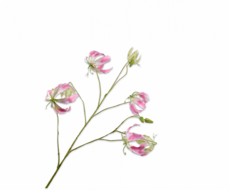 Gloriosa roze Silk-ka - H110 cm