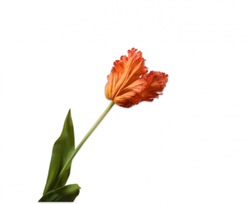 Oranje rood tulp - Silk-ka Real Touch - H71 cm