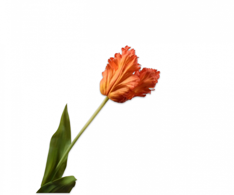 Oranje rood tulp - Silk-ka Real Touch - H71 cm