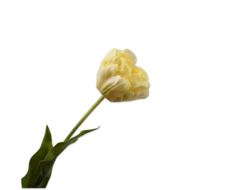 Gele tulp - Silk-ka Real Touch - H66 cm