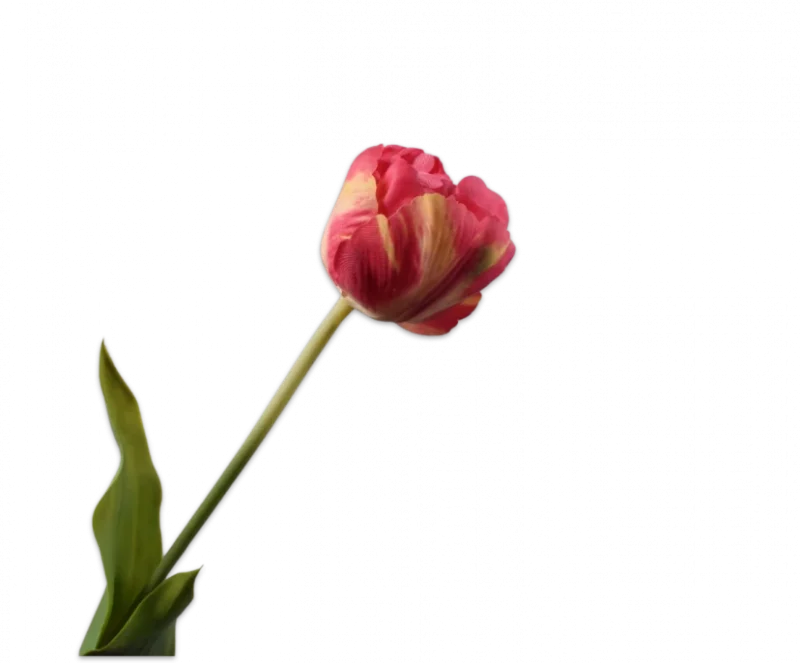 Roze tulp - Silk-ka Real Touch - H66 cm