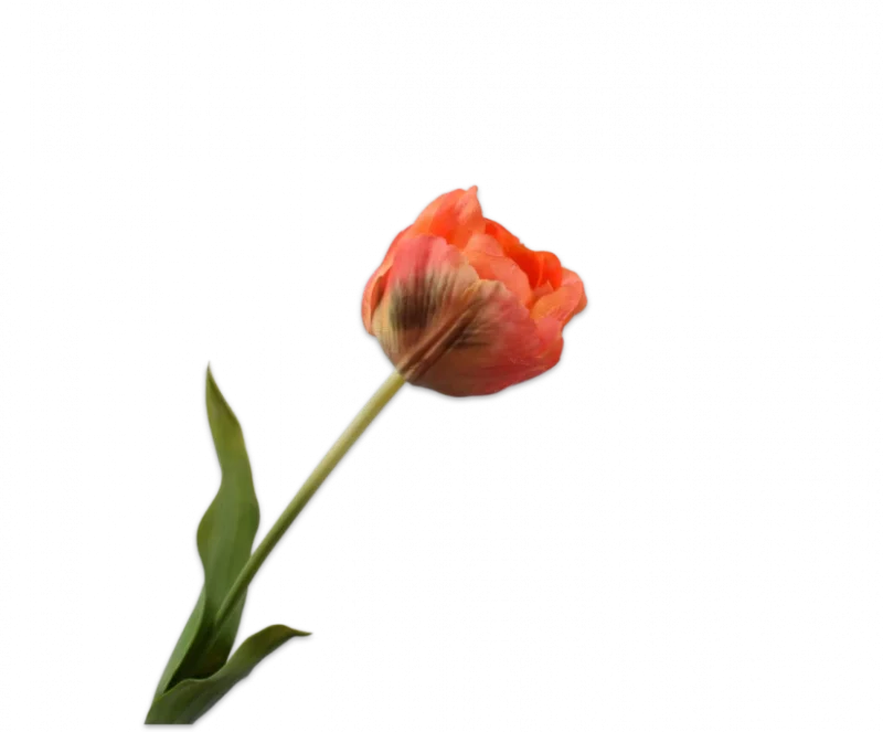 Oranje tulp - Silk-ka Real Touch - H66 cm
