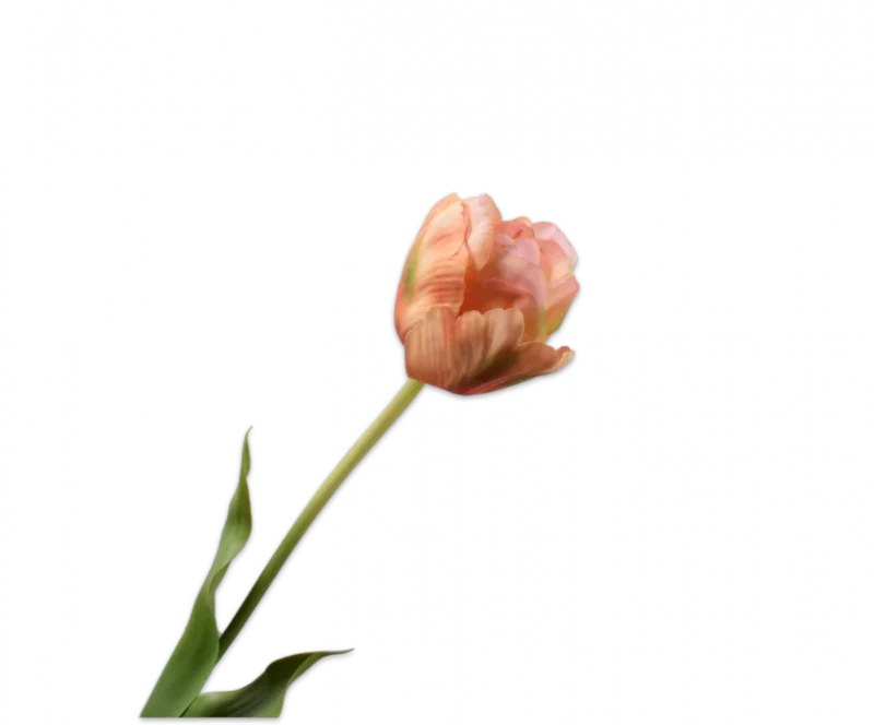 Perzik groene tulp - Silk-ka Real Touch - H66 cm