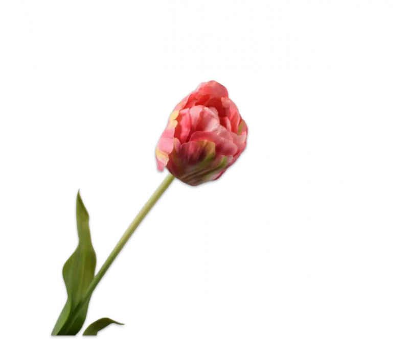 Roze gele tulp - Silk-ka Real Touch - H66 cm