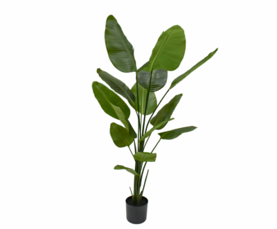 zijden strelitzia silkka